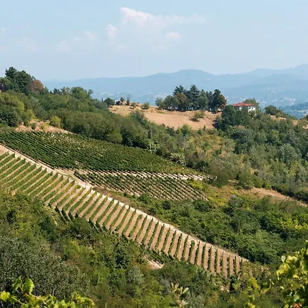 Casa Tra Vigneti E Mura Appartamento *